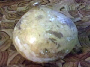 A whole jicama---just peel the outside skin off, and then shredd or chop the white part in the middle