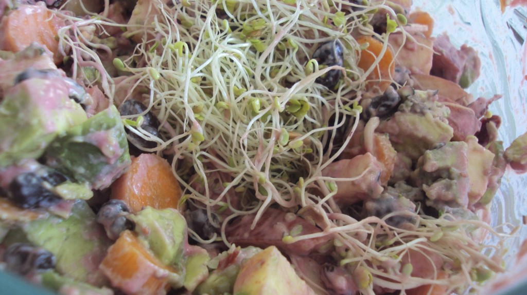 I know this doesn't look great, but it was amazing---sprouts, carrots, celery, black beans, sunflower seeds, apples and raspberry vinaigrette---recipe later!