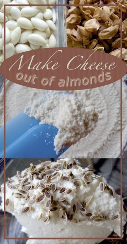 almond cheese2