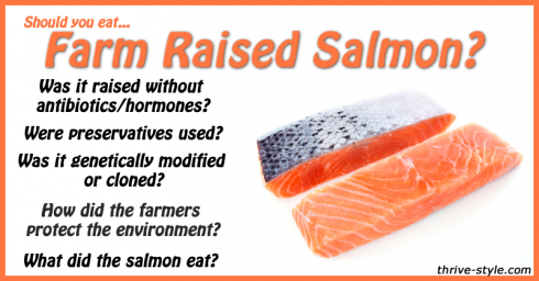 farm raised salmon